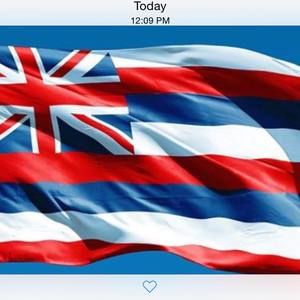 Meet your Posher, Phil